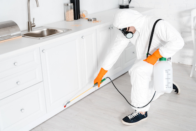 the best pest extermination in broken arrow by an expert