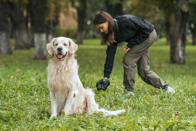 pooper scooper in Tulsa. dog poop removal in Tulsa